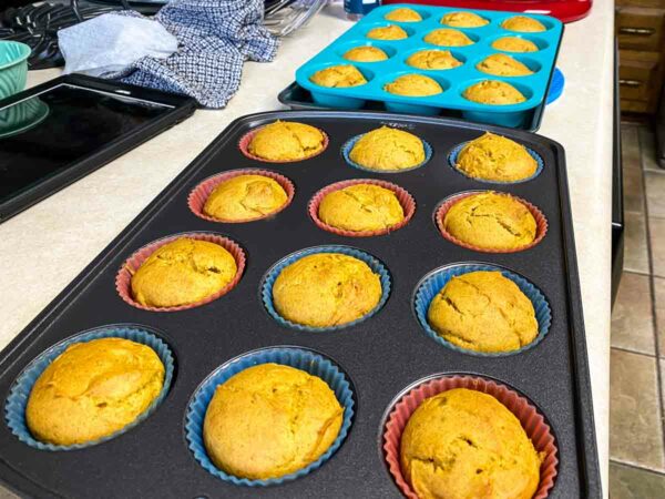 Gluten-free carrot cake muffins just out of the oven, still in the muffin pan